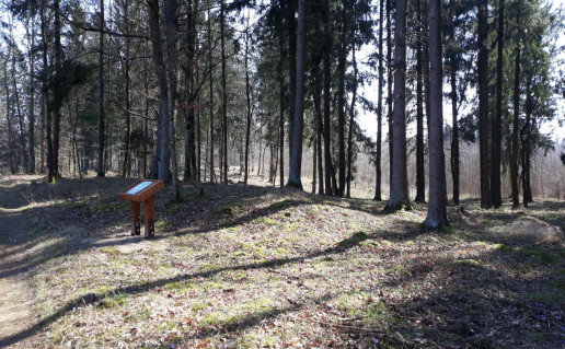 26. Lavariškių pilkapynas.jpg